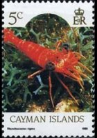 Cayman islands 1986 - set Sealife: 5 c