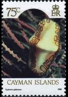 Cayman islands 1986 - set Sealife: 75 c