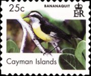 Isole Cayman 2006 - serie Uccelli: 25 c