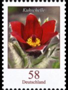 Germany 2005 - set Flowers: 0,58 €