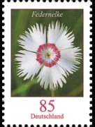 Germany 2005 - set Flowers: 0,85 €