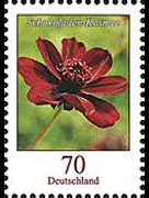 Germany 2005 - set Flowers: 0,70 €