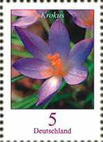 Germany 2005 - set Flowers: 0,05 €