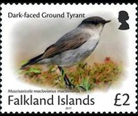 Isole Falkland 2017 - serie Uccelli: 2 £