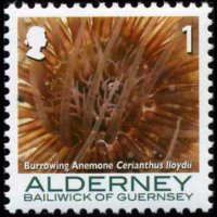 Alderney 2006 - serie Coralli e anemoni: 1 p