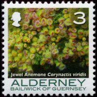 Alderney 2006 - serie Coralli e anemoni: 3 p