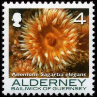 Alderney 2006 - set Corals and anemones: 4 p