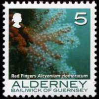 Alderney 2006 - serie Coralli e anemoni: 5 p