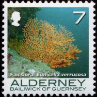 Alderney 2006 - set Corals and anemones: 7 p