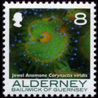 Alderney 2006 - set Corals and anemones: 8 p