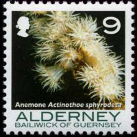 Alderney 2006 - serie Coralli e anemoni: 9 p