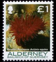 Alderney 2006 - set Corals and anemones: 1 £