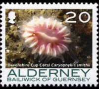 Alderney 2006 - set Corals and anemones: 20 p