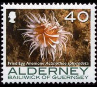 Alderney 2006 - set Corals and anemones: 40 p