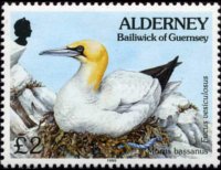 Alderney 1994 - serie Flora e fauna: 2 £