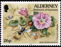 Alderney 1994 - serie Flora e fauna: 26 p