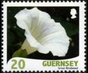 Guernsey 2008 - set Flowers: 20 p