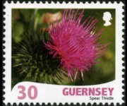 Guernsey 2008 - serie Fiori: 30 p