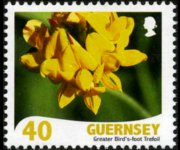 Guernsey 2008 - set Flowers: 40 p