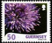 Guernsey 2008 - set Flowers: 50 p