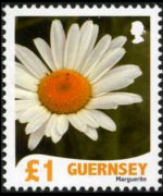 Guernsey 2008 - set Flowers: 1 £
