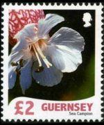 Guernsey 2008 - set Flowers: 2 £