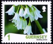 Guernsey 2008 - set Flowers: 1 p
