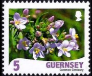 Guernsey 2008 - set Flowers: 5 p