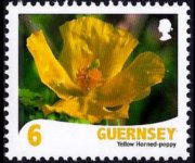 Guernsey 2008 - serie Fiori: 6 p