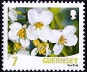 Guernsey 2008 - serie Fiori: 7 p