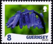 Guernsey 2008 - serie Fiori: 8 p