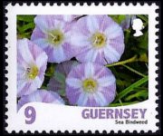 Guernsey 2008 - set Flowers: 9 p