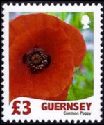Guernsey 2008 - set Flowers: 3 £