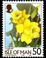 Man 1998 - serie Fiori: 50 p