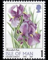 Man 1998 - serie Fiori: 1 p