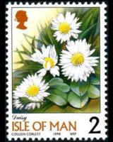 Man 1998 - set Flowers: 2 p