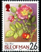 Man 1998 - set Flowers: 26 p