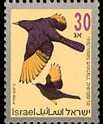 Israele 1992 - serie Uccelli canterini: 30 a