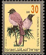 Israele 1992 - serie Uccelli canterini: 30 a