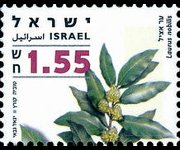 Israele 2006 - serie Erbe officinali e spezie: 1,55 s