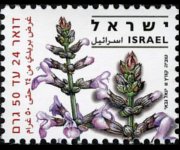 Israele 2006 - serie Erbe officinali e spezie: -