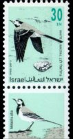 Israele 1992 - serie Uccelli canterini: 30 a