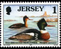 Jersey 1997 - set Seabirds & waders: 1 p