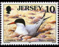 Jersey 1997 - set Seabirds & waders: 10 p