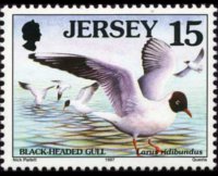 Jersey 1997 - set Seabirds & waders: 15 p