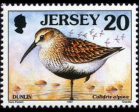 Jersey 1997 - set Seabirds & waders: 20 p