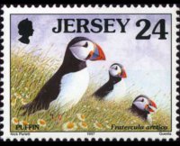Jersey 1997 - set Seabirds & waders: 24 p