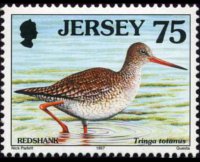 Jersey 1997 - set Seabirds & waders: 75 p