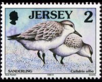 Jersey 1997 - set Seabirds & waders: 2 p