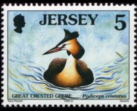 Jersey 1997 - set Seabirds & waders: 5 p